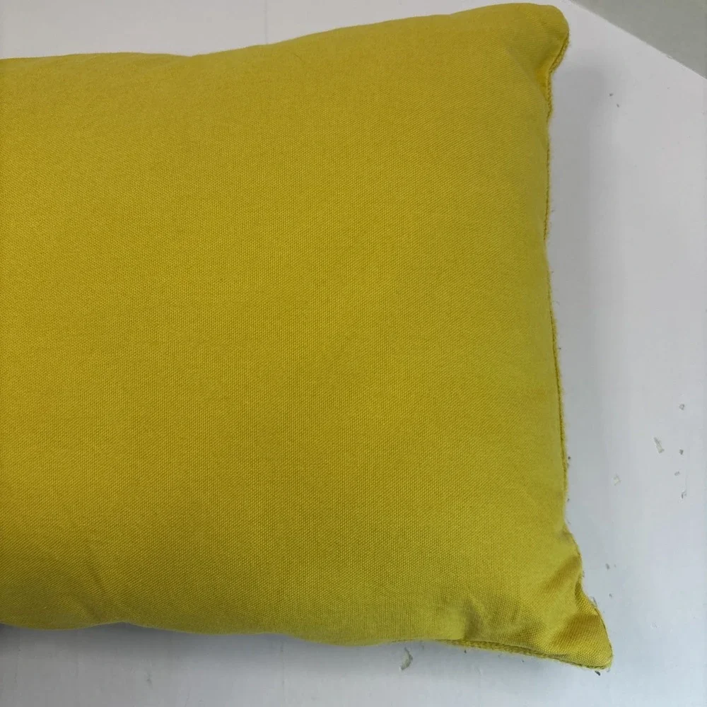 Pier 1 pier pillow